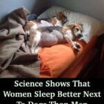 Science Shows That Women Sleep Better Next To Dogs Than Men
